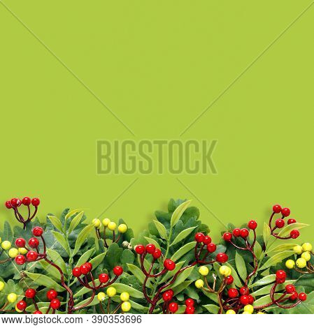 Autumn Oak And Rowan Branches With Red Berries On Green Background.
Flat Lay, Top View, Copy Space C
