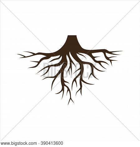 Felled Trees Root Icon Logo Vector Flat Concept Design