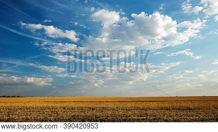 Panorama Overlooking The Field After Harvesting Wheat And With Beautiful Clouds In The Blue Sky. Rur