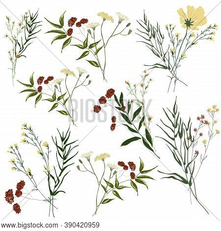 Hand Drawn Flower Collection. Big Set Botanic Branches, Leaves, Foliage, Herbs, Wild Plants In Bouqu