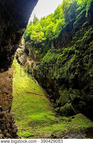 Macocha Abyss - Large Limestone Gorge In Moravian Karst, Czech: Moravsky Kras, Czech Republic. View 