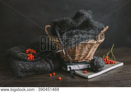 Hand Knitting With Needles, Yarn Ball And Rowan Berries On A Dark Wooden Background. Concept For Han