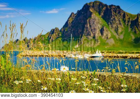 Fishing Port, Bleik Village In Summer Time. Andoya Island, Vesteralen Archipelago.
