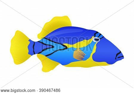 Decorative Sea Or Aquarium Fish On White Background. Freshwater Or Saldwater Aquarium Cartoon Fish. 