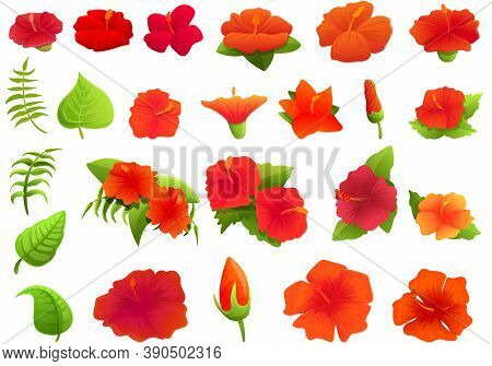 Hibiscus Icons Set. Cartoon Set Of Hibiscus Vector Icons For Web Design