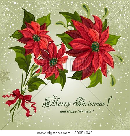 Christmas background with bouquet of poinsettias