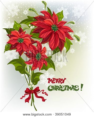 Christmas background with bouquet of poinsettias