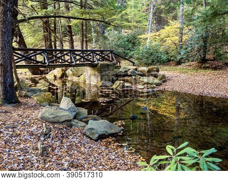 A Bridge Crossing The Creek At Clear Creek State Park Near Clarion, Pennsylvania In The Fall With Tr
