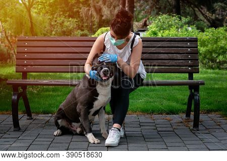 Young Women In Medical Mask Sitting On A Bench In The Park With His Dog. Covid-19 Coronavirus Pandem