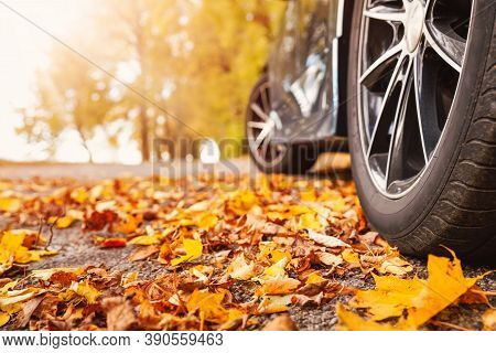 Car On Asphalt Road On Autumnr Day At Park