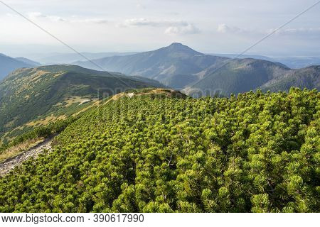 Western Tatras In September. Rakon Area. Slovakia.