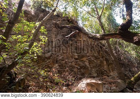 Rocky Shores Overgrown With Trees Along The Edges Of The Rushing Mountain Hermon River With Crystal 
