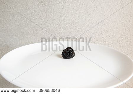 Rare Delicacy Mushroom Black Truffle. French Black Perigord Truffle