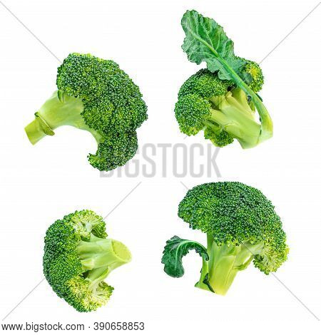 Broccoli Isolated On White Background. Raw Broccoli Vegetable Collection