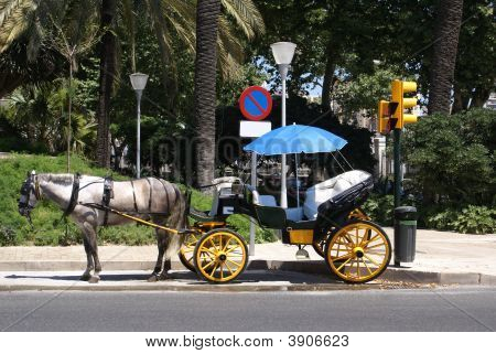 Carruagem do cavalo &. Transporte para os turistas, Espanha