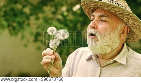Harmony Of Soul. Peaceful Grandpa Blowing Dandelion. Happy And Carefree Retirement. Peace Of Mind. E