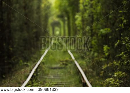 Natural Tunnel Of Love Formed By Trees In Ukraine, Klevan. Old Railway In The Beautiful Tunnel In Su