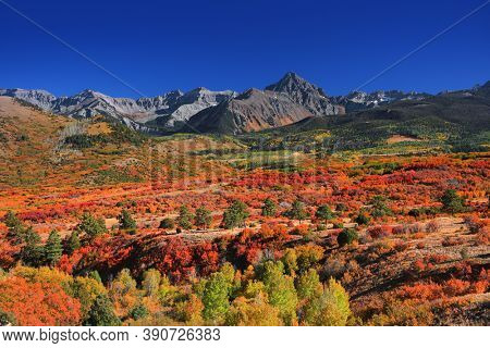 Fall foliage at Continental divide near Ridgeway, Colorado 