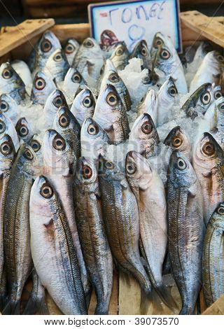 Fish Market