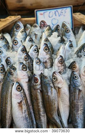 Fish Market
