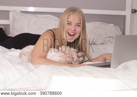 Beautiful Blonde With A Puppy Shih-tzu And Laptop On Bed With White Sheets. Pretty People And Pets O