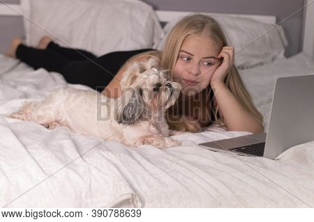 Beautiful Blonde With A Puppy Shih-tzu And Laptop On Bed With White Sheets. Pretty People And Pets O