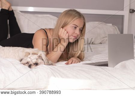 Beautiful Blonde With A Puppy Shih-tzu And Laptop On Bed With White Sheets. Pretty People And Pets O