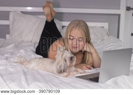 Beautiful Blonde With A Puppy Shih-tzu And Laptop On Bed With White Sheets. Pretty People And Pets O