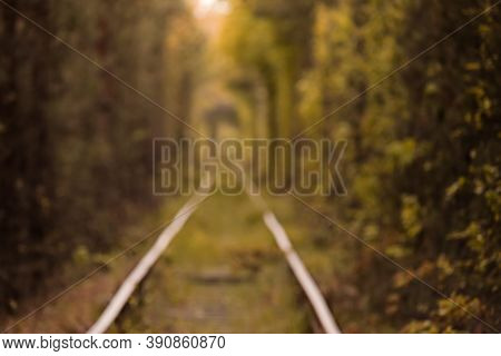 Fall Autumn Tunnel Of Love. Tunnel Formed By Trees And Bushes Along A Old Railway In Klevan Ukraine.