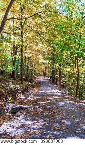 A Hiking Trail Through Fall Woods In Frick Park In Pittsburgh, Pennsylvania, Usa On A Sunny Fall Day