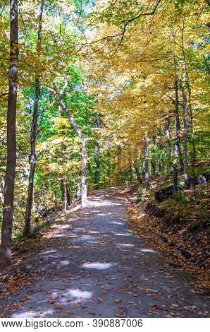 A Hiking Trail Through Fall Woods In Frick Park In Pittsburgh, Pennsylvania, Usa On A Sunny Fall Day
