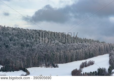 Winter View Of A Frozen Forest In Beskid Sadecki Mountains Near Krynica Zdroj, Poland
