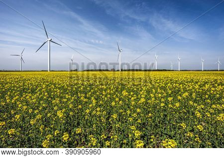 Wind Turbines. Power Plant With Wind Turbine, Clean Energy Generator Wind Turbine In Wind Farm.