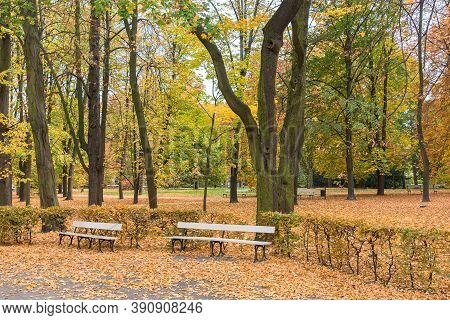 Colorful Autumn In Saxon Garden In Warsaw Downtown