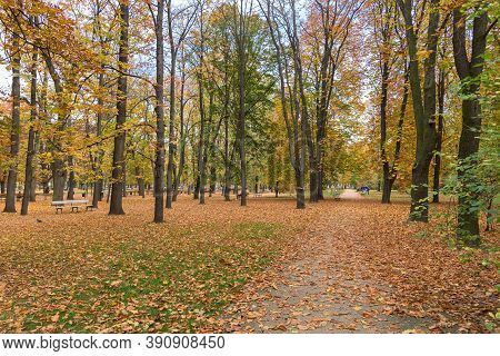 Colorful Autumn In Saxon Garden In Warsaw Downtown