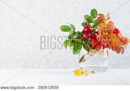 Autumn Colorful Rosehip Leaves With Red Berries In Glass Vase On White Wood Table, Copy Space.