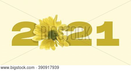 Greeting Card Decorated For New Year 2021 And Christmas. Beautiful, Tender Yellow Flower On Soft Bac
