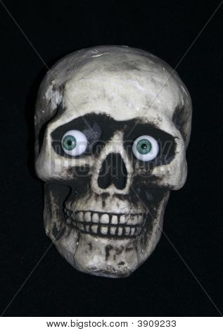 Skull With Glass Eyes