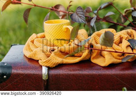Yellow Knitted Swetaer And Yellow Tea Cup On The Vintage Suitcase In The Forest. Autumn Folliage, Ho