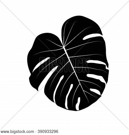 Vector Stock Illustration Of Tropical Leave. Monstera Leave. Watercolor Greenery Plant. Template For