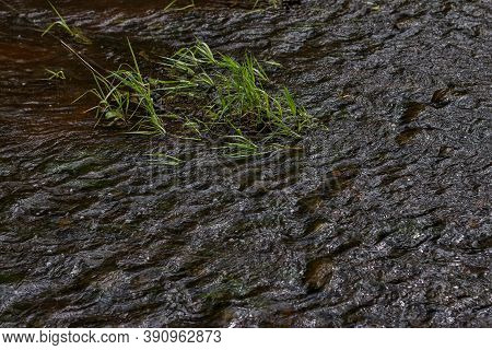 Small River Waves With Watergrass. Photo Taken In Europe, Latvia.