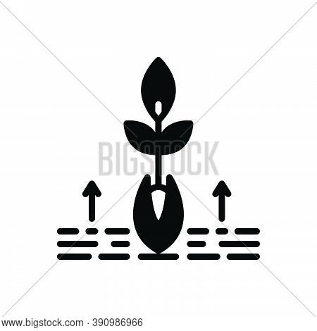 Black Solid Icon For Origin Root Grow Tree Soil Basic Substantive Nature Agriculture