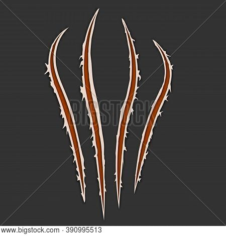 Red Claws Animal Scratch Scrape Track Isolated On Dark Background. Vector Illustration, Eps10. Cat T