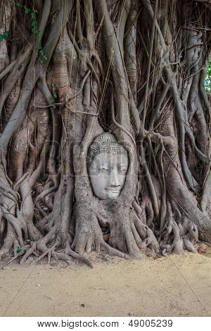 Historical and ancient The Buddha.