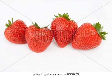 Morango