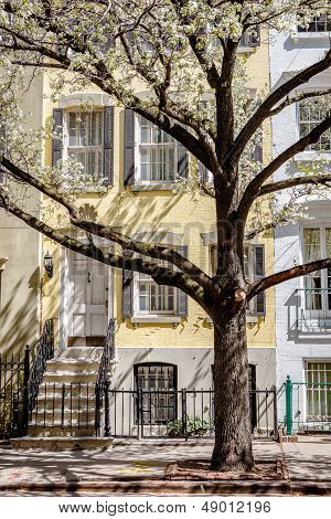 Chelsea Townhouse Spring Morning, New York City