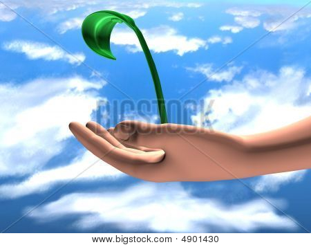 Mano