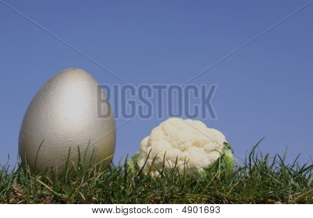 goldenen Ei und Cauli Blume