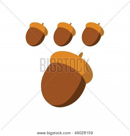 chestnut