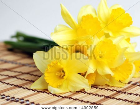 Gele Narcissuses